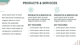 Brand Overview - Slide 8
