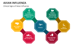Clinical Signs of Avian Influenza - Slide 3