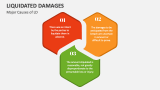 Major Causes of Liquidated Damage - Slide 3