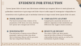 Theories of Evolution - Slide 8