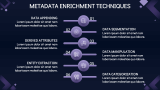 Metadata Enrichment Process - Slide 5