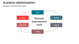 Business Improvement Cycle - Slide 11