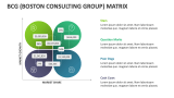 BCG (Boston Consulting Group) Matrix - Slide 5