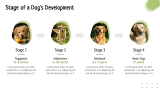 Dog Training Presentation Theme - Slide 4