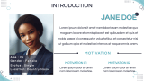 CEO Profile - Slide 4
