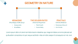 Geometry - Maths for Elementary - Slide 9