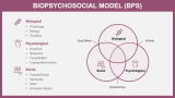 Biopsychosocial Model (BPS) - Slide 2