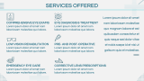 Eye Care Clinic Business Plan - Slide 4