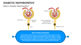 What is Diabetic Nephropathy? - Slide 1