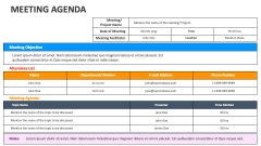 Meeting Agenda - Slide 1