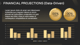 Black and Gold Presentation Theme - Slide 10