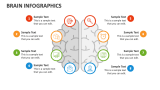 Brain Infographics - Slide 4
