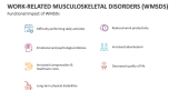 Functional Impact of Work-Related Musculoskeletal Disorders (WMSDS) - Slide 8