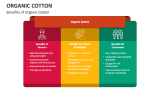 Benefits of Organic Cotton - Slide 3