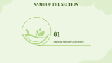 Ayurveda Theme - Slide 3
