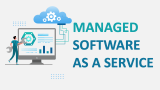 Managed Software as a Service (MSaaS) - Slide 1