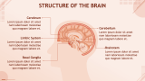 Brain Presentation Theme - Slide 4