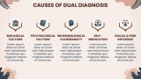 Dual Diagnosis - Slide 5
