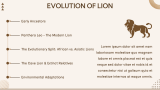 Lion Presentation - Slide 4