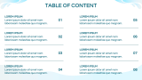 Dolphin Presentation - Slide 2