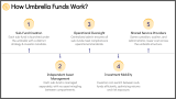 Common Structure of an Umbrella Fund - Slide 6