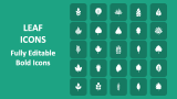 Leaf Icons - Slide 1