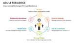 Overcoming Challenges Through Adult Resilience - Slide 11