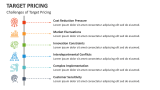 Challenges of Target Pricing - Slide 8
