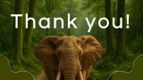 Elephant Presentation Template - Slide 10