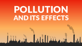Pollution and Its Effects - Slide 1