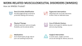 How are Work-Related Musculoskeletal Disorders (WMSDS) Treated? - Slide 9