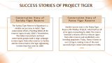 Project Tiger in India Presentation - Slide 10