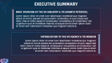 VR Agency Business Plan - Slide 2