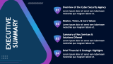 Cybersecurity Agency Business Plan - Slide 2