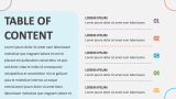 Table of Contents Slides - Slide 2