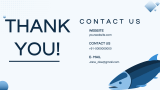 Fish Farming Business Plan - Slide 15
