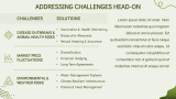 Livestock Farming Business Plan - Slide 14