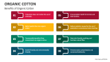 Benefits of Organic Cotton - Slide 5