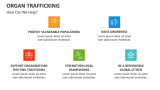 How Can We Help? | Organ Trafficking - Slide 9