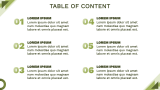 Green and White Presentation Template - Slide 2