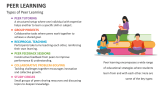 Types of Peer Learning - Slide 4