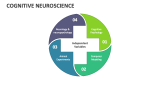 Cognitive Neuroscience - Slide 11