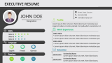 Executive Resume - Slide 3