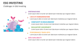 Challenges in ESG Investing - Slide 7