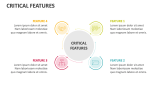 Critical Features - Slide 3