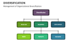Management of Organizational Diversification - Slide 5