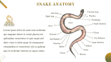 Snake Presentation - Slide 4