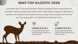 Deer Presentation - Slide 3