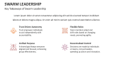 Key Takeaways of Swarm Leadership - Slide 12