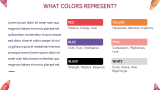 Crayons Theme for Classroom - Slide 6